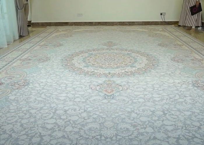 Large living room with an ornate style rug featuring intricate floral and medallion patterns